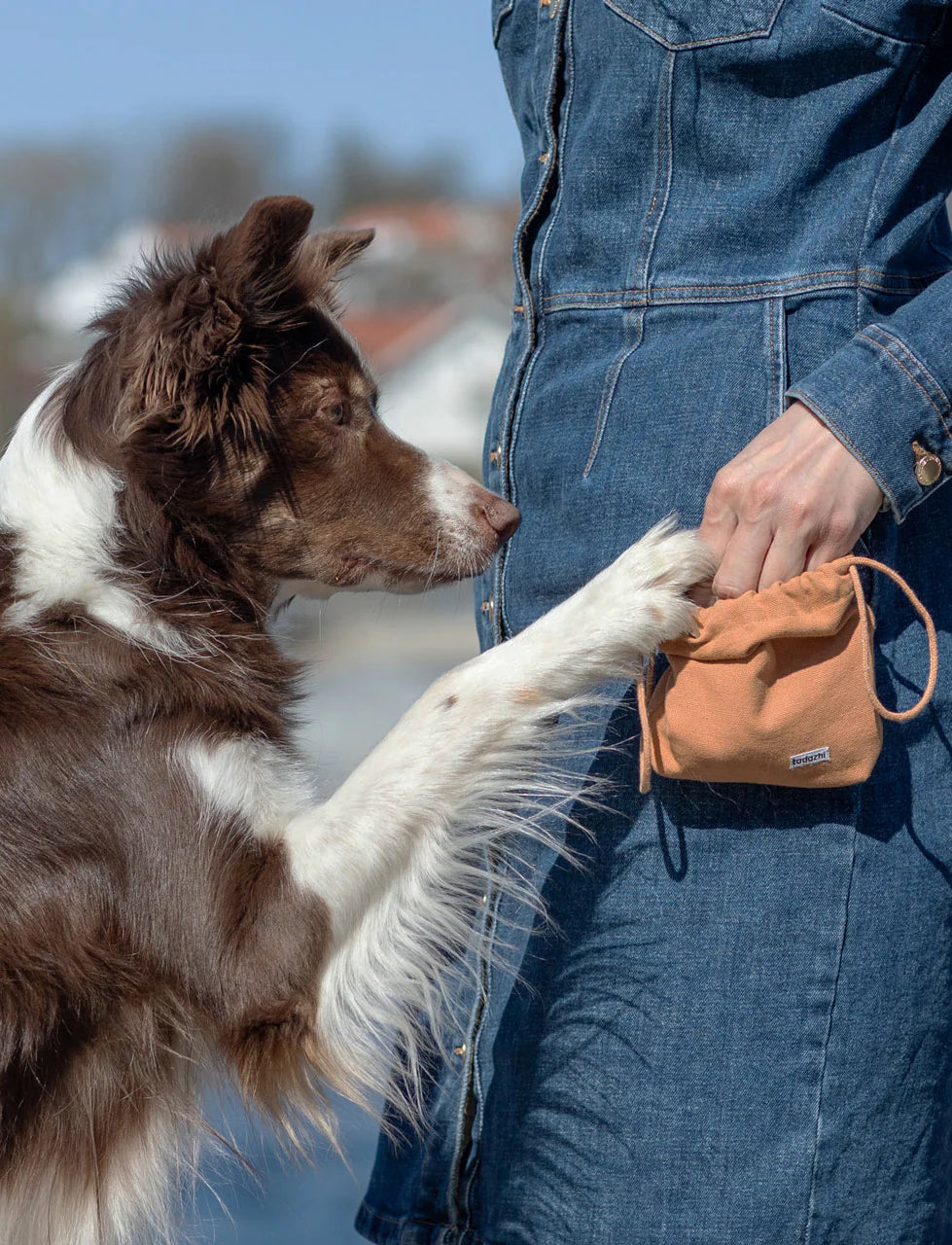 DOG TREAT BAG | Light Brown