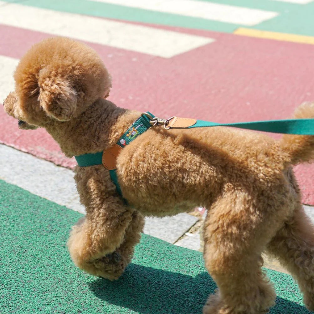 ADVENTURE HARNESS | Birdie