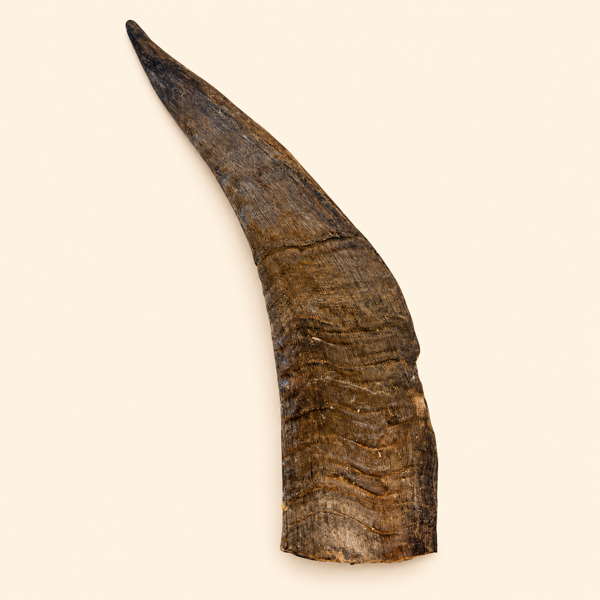 GROOVY GOAT HORN