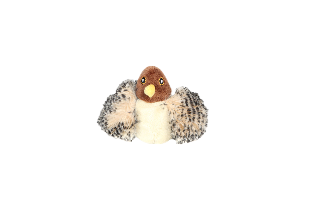 MELODY CHASER BIRD