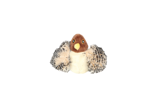 MELODY CHASER BIRD