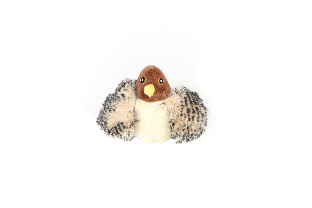 MELODY CHASER BIRD