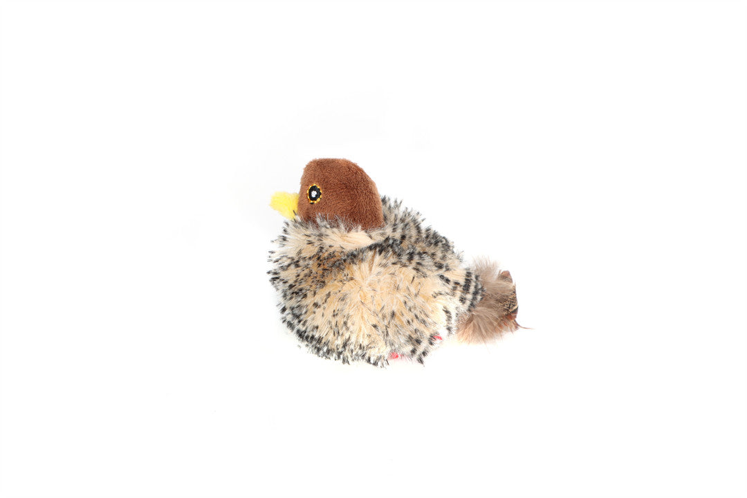 MELODY CHASER BIRD