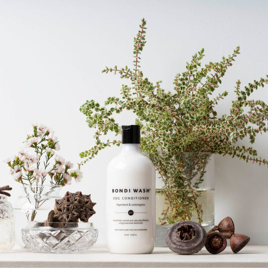 Bondi Wash - DOG CONDITIONER