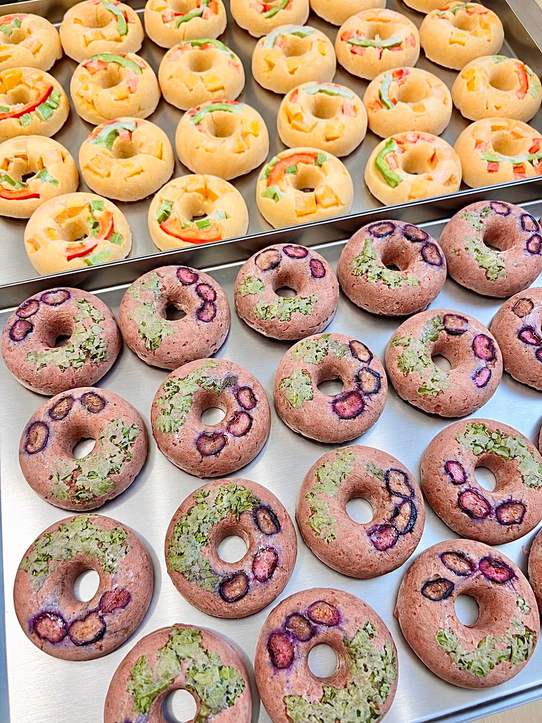 DOGGO DONUTS | Berry Yogurt Kangaroo