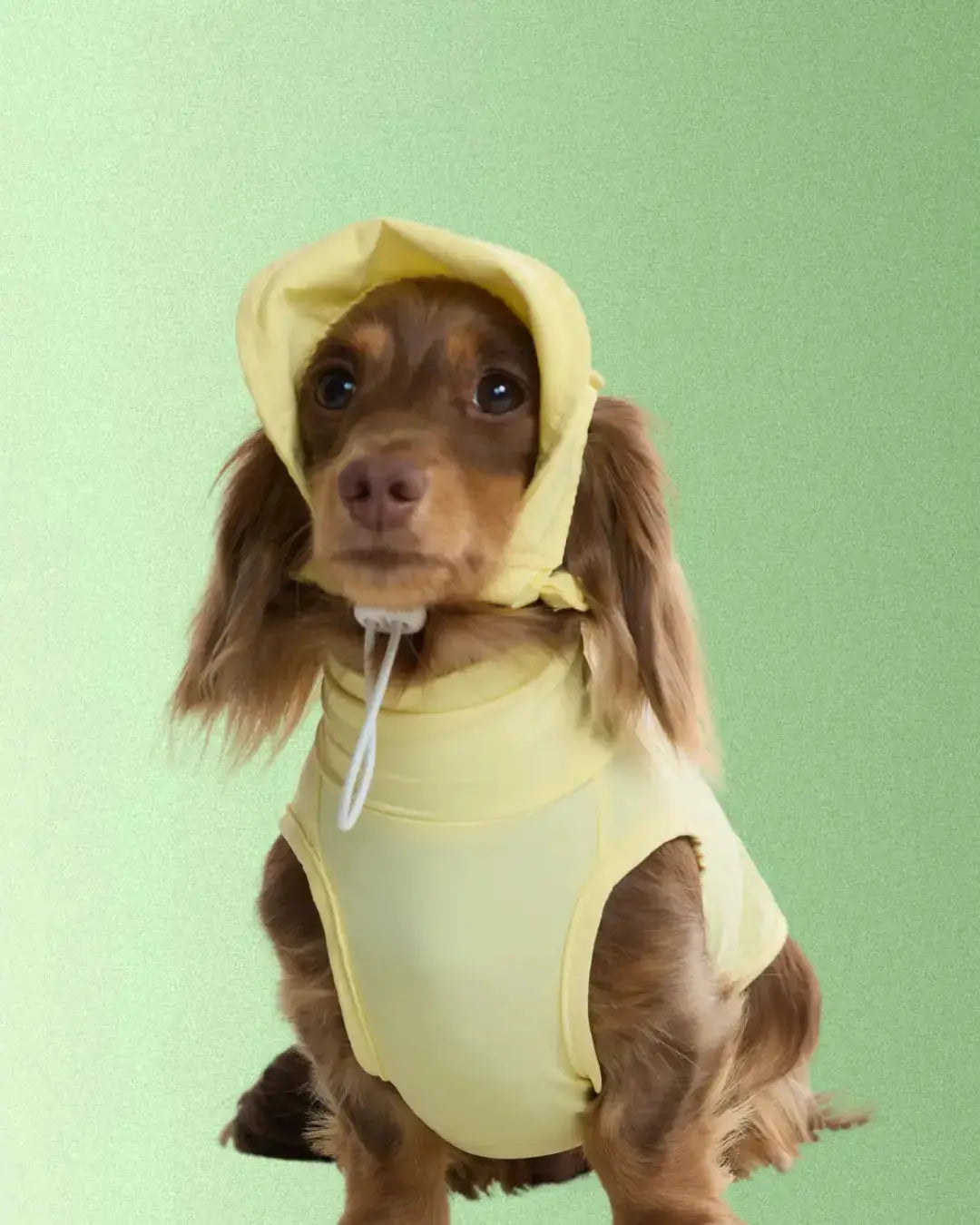 CUDS DOG COOLING HAT | Yellow Bunny