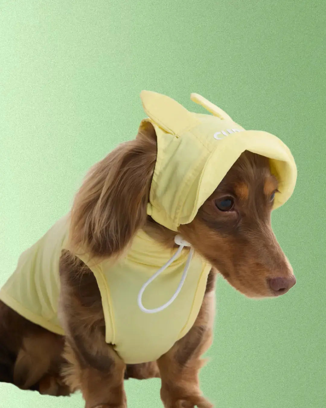 CUDS DOG COOLING HAT | Yellow Bunny