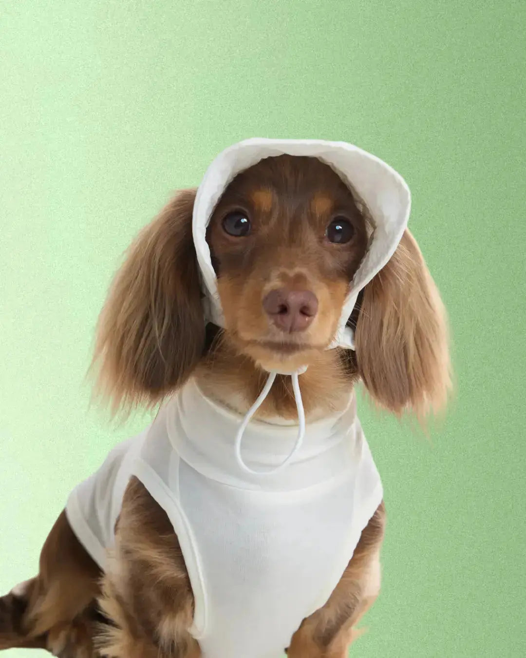 CUDS DOG COOLING HAT | White Bunny