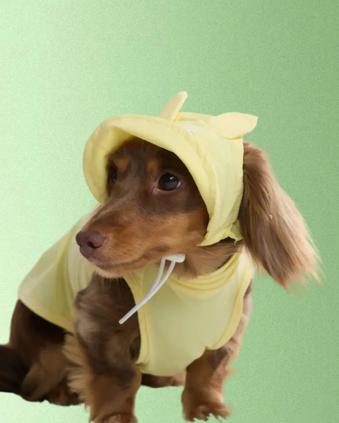 CUDS DOG COOLING HAT | Yellow Bunny