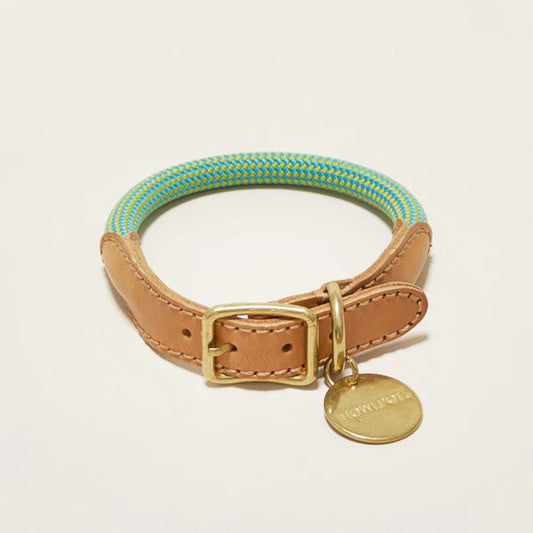 WE ARE TIGHT COLLAR | Palm Tree