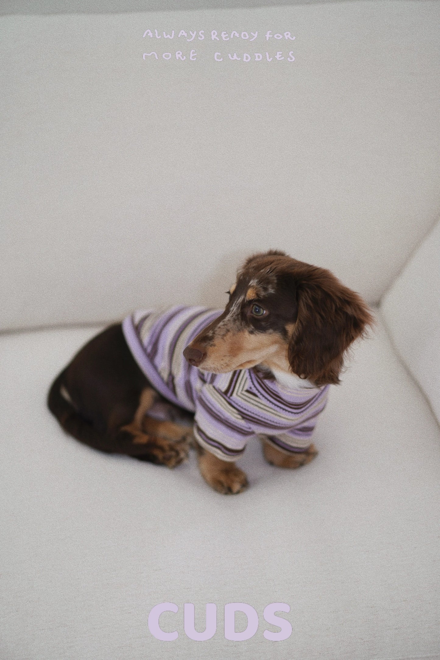 CUDS ESSENTIALS DOG SHIRT | Acai