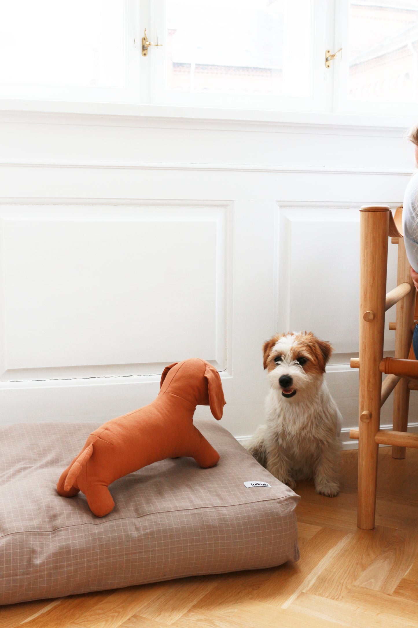TOY DOG