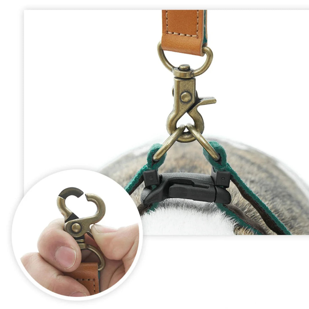 ADVENTURE LEASH | Birdie