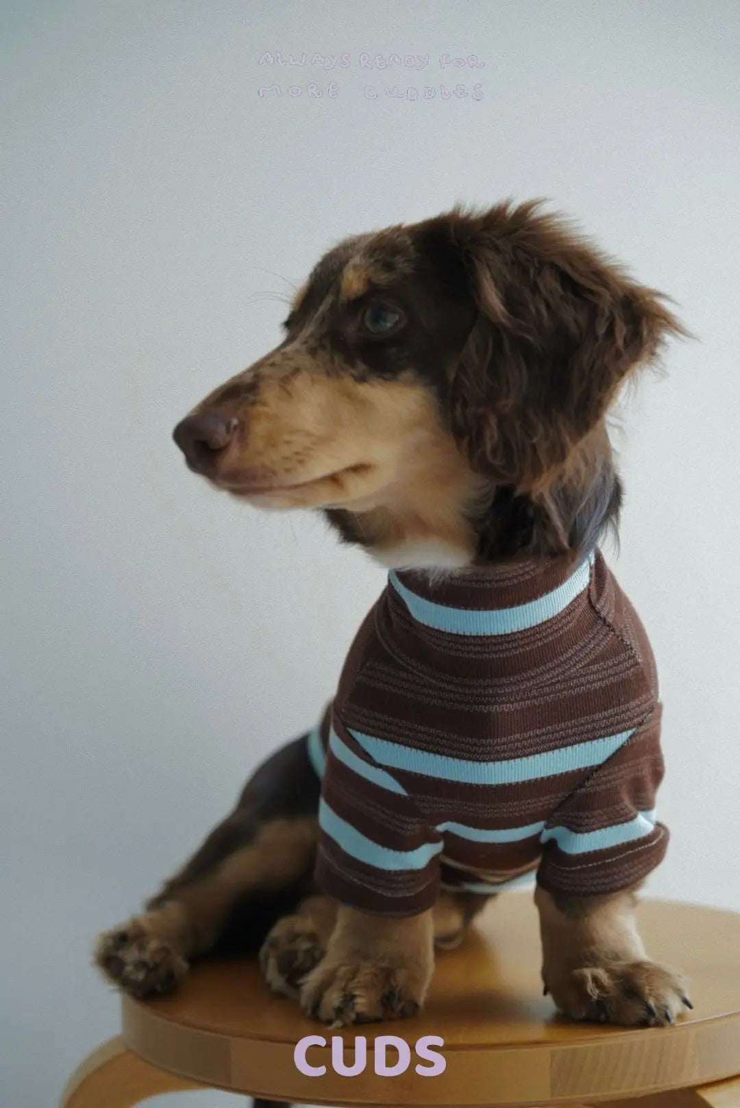 CUDS ESSENTIALS DOG SHIRT | Espresso