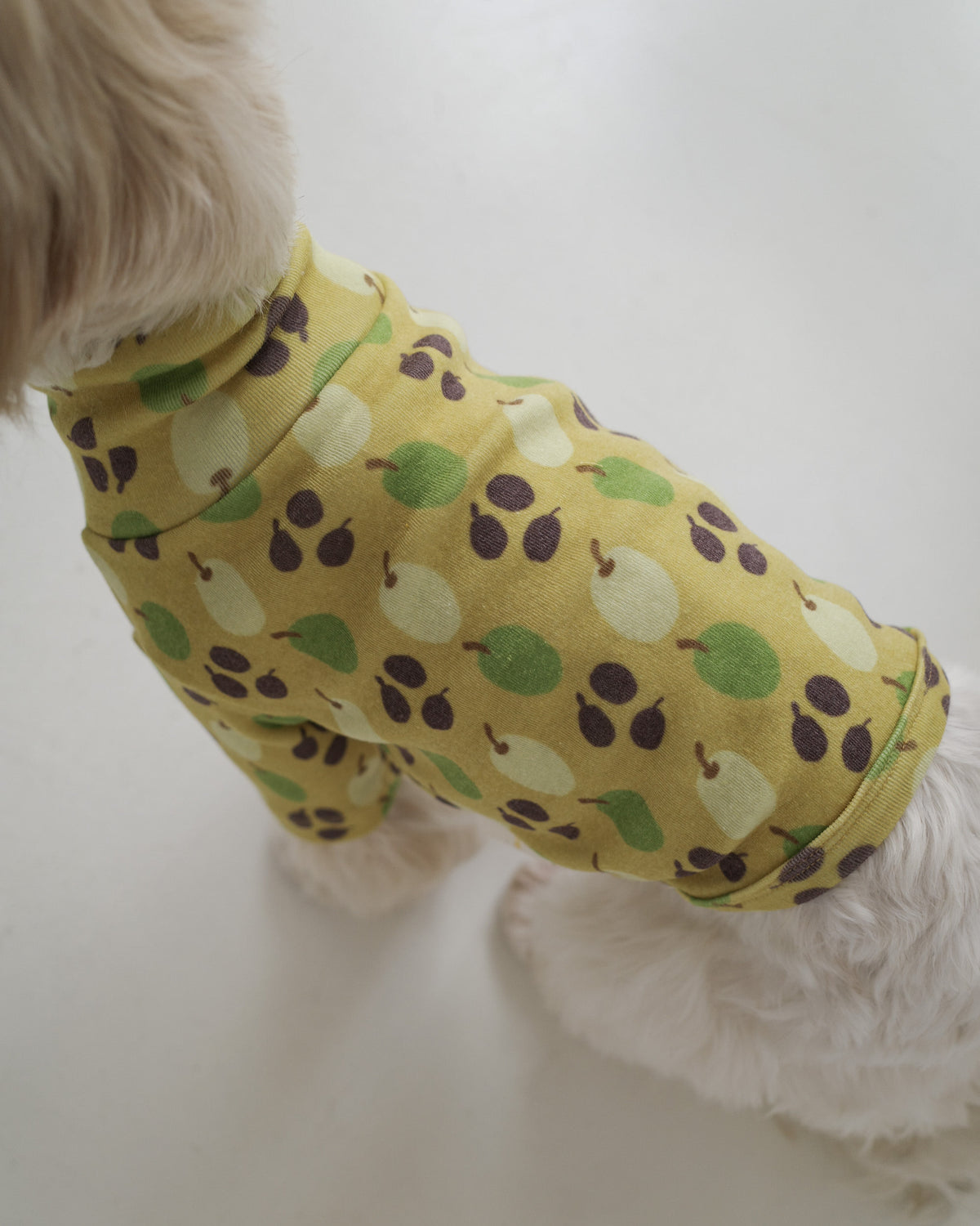OLIVE TURTLENECK TOP | Olive