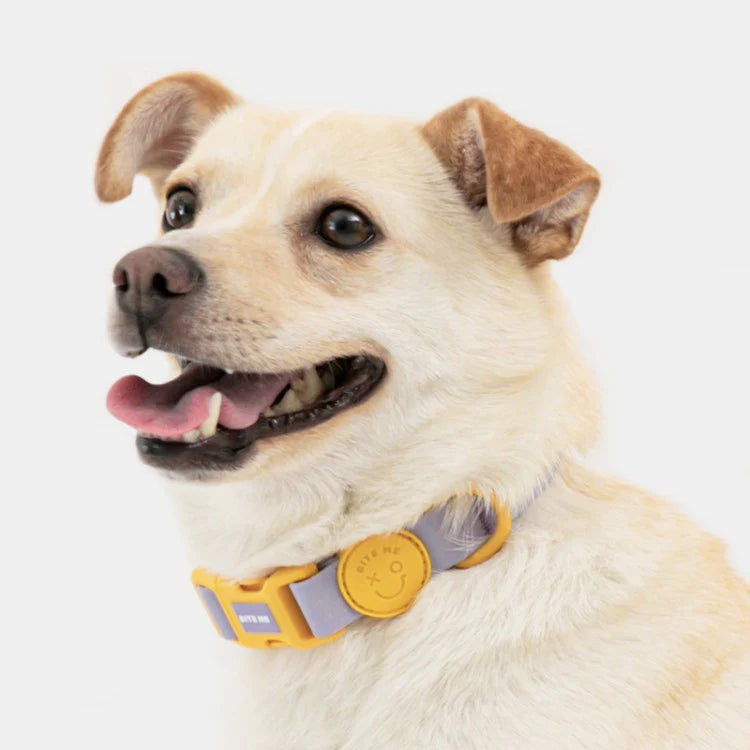 Bite Me - MACARON WATERPROOF COLLAR