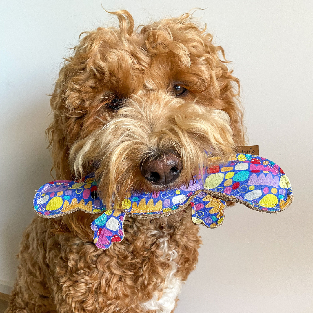 KETURAH ZIMRAN DOG TOY