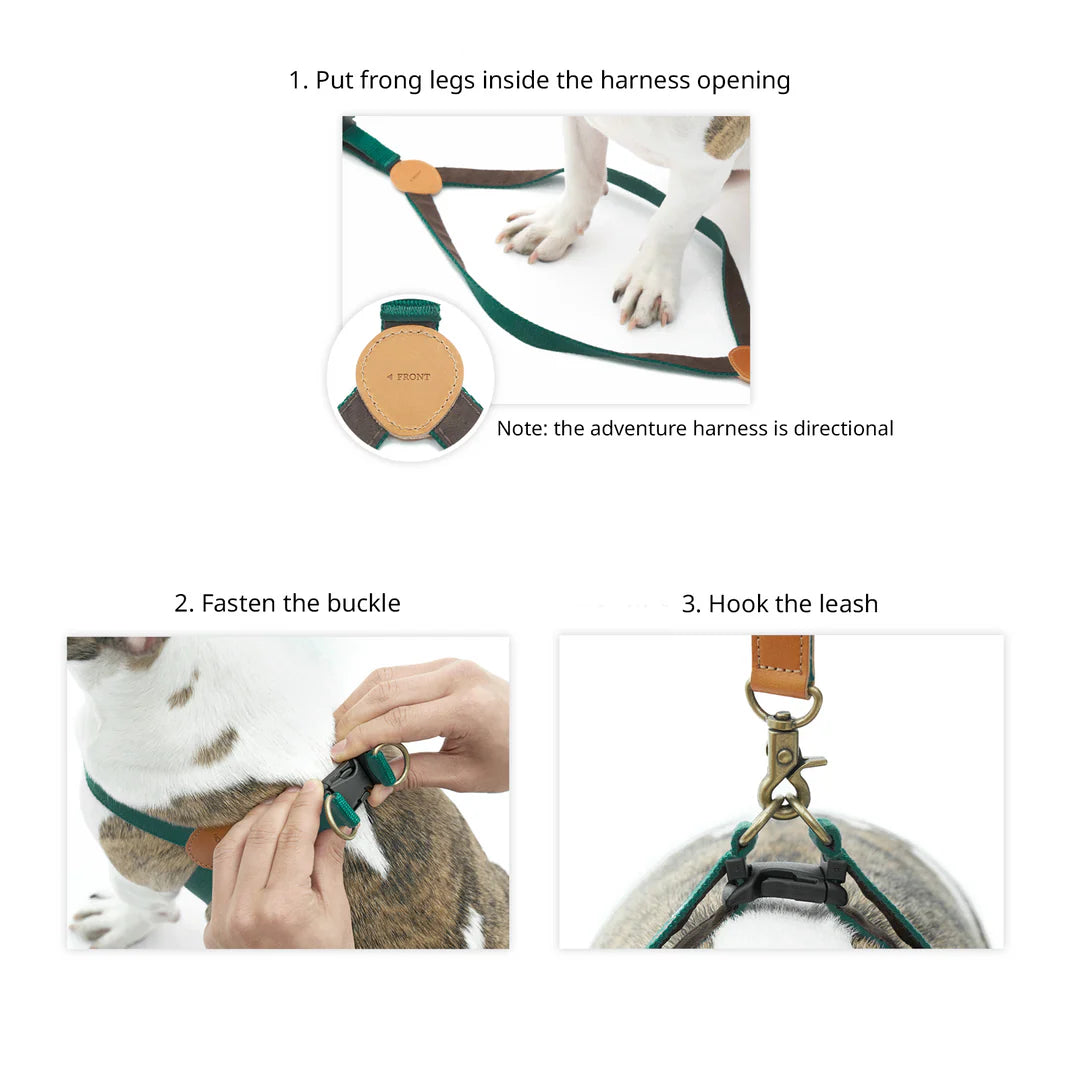 ADVENTURE HARNESS | Birdie