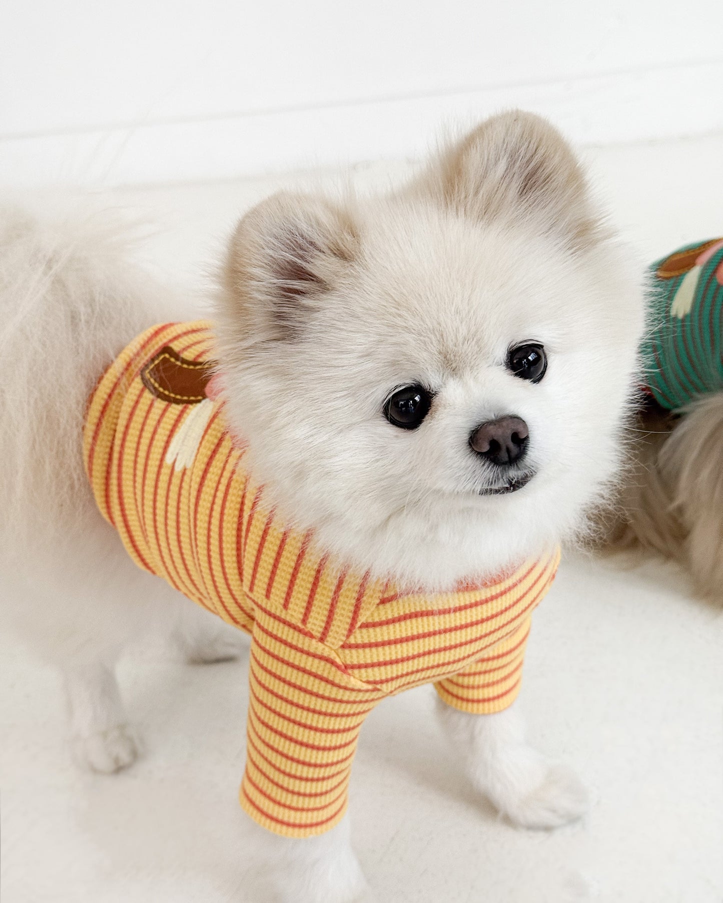 Côte à Côte - HAPPY PONY CARDIGAN | Tangerine