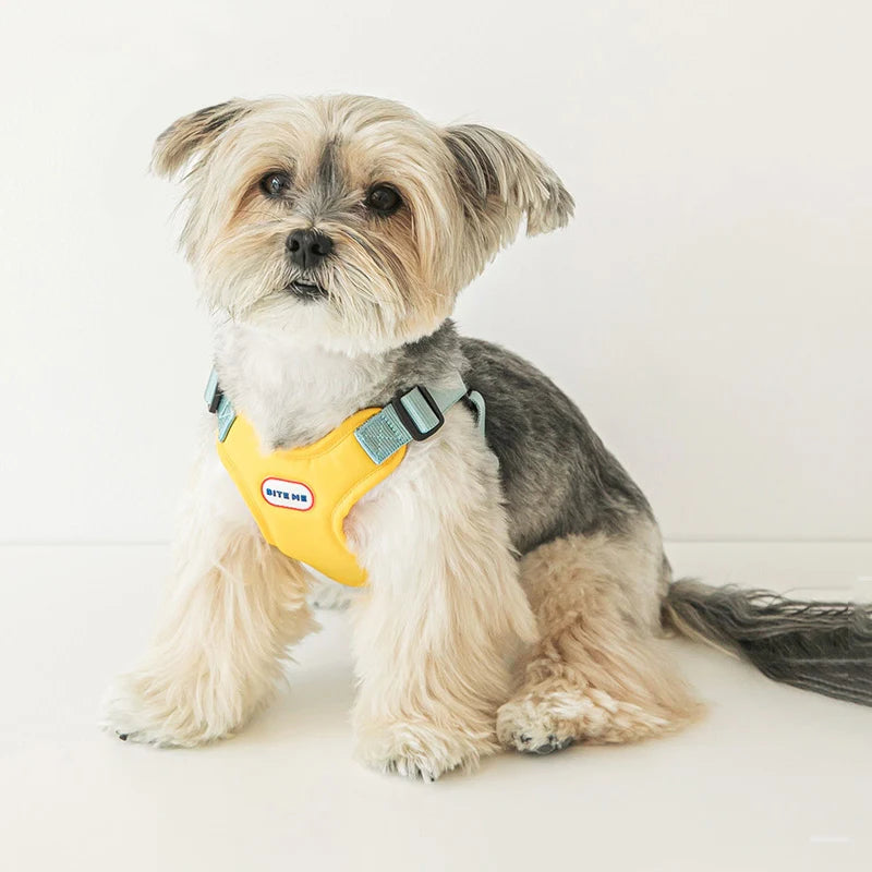 COMFORT HARNESS V2