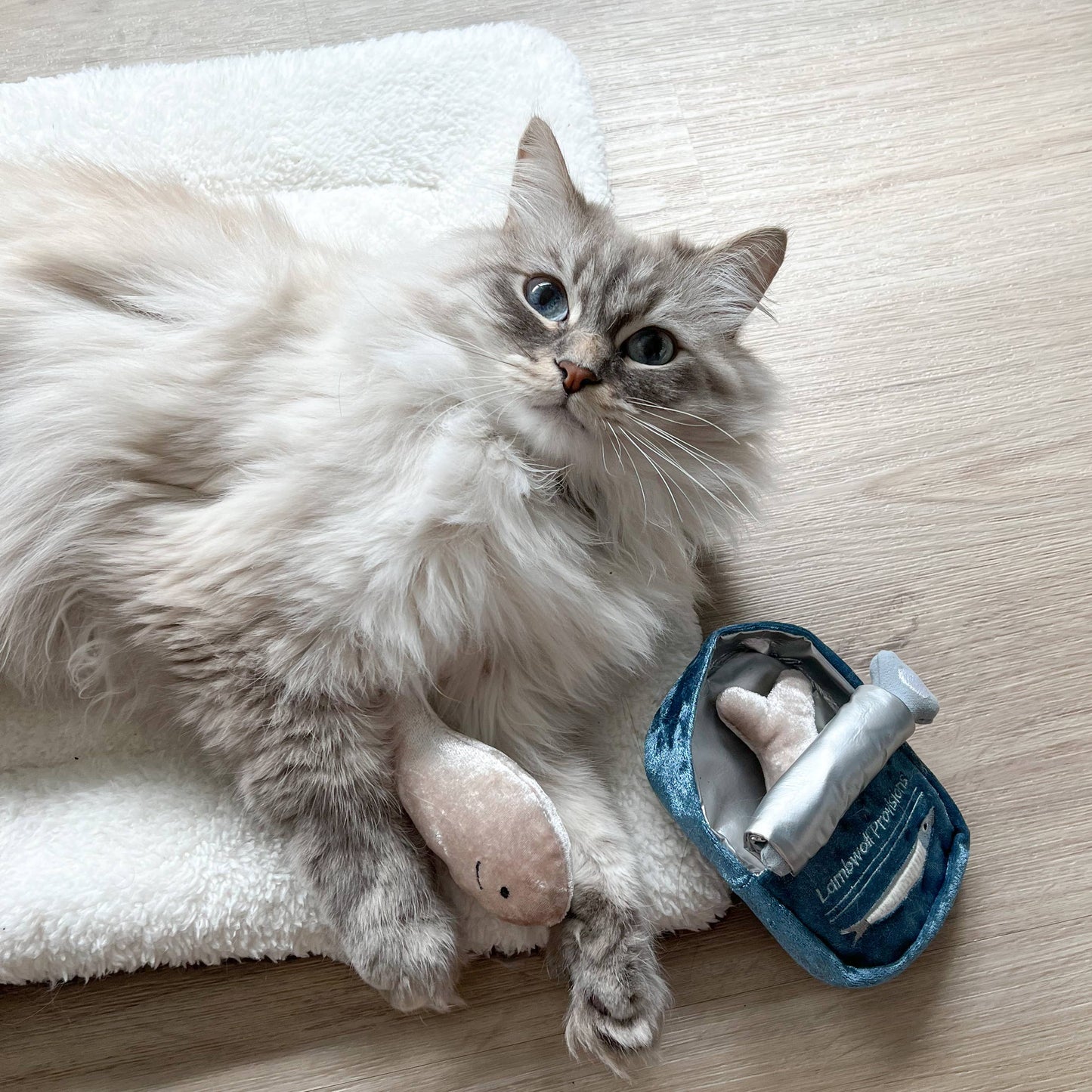 Lambwolf Collective - KITTY SARDINES