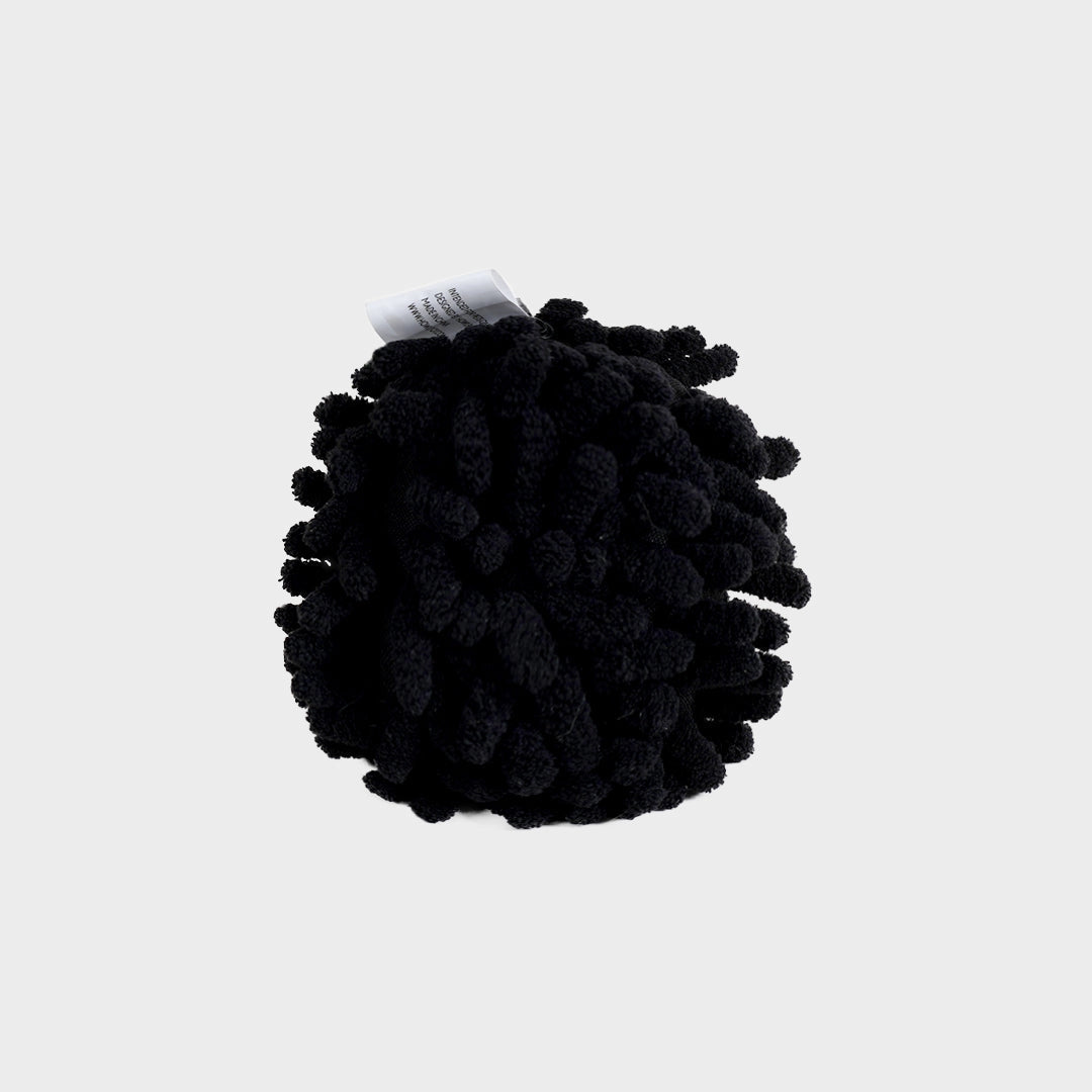 SEA URCHIN