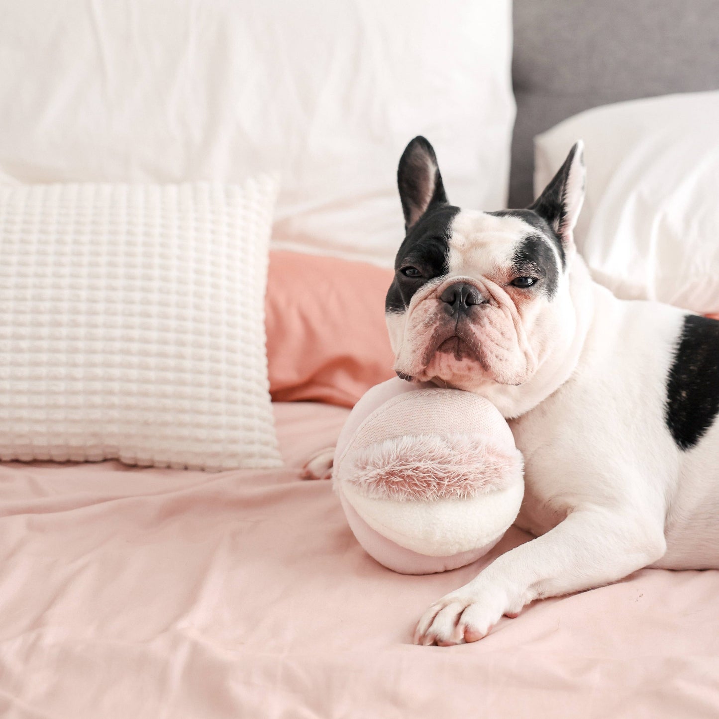 Lambwolf Collective - TOTO | Squeaky Snuffle Ball