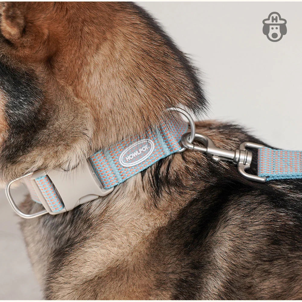 LARGE-CLUB COLLAR | Blue