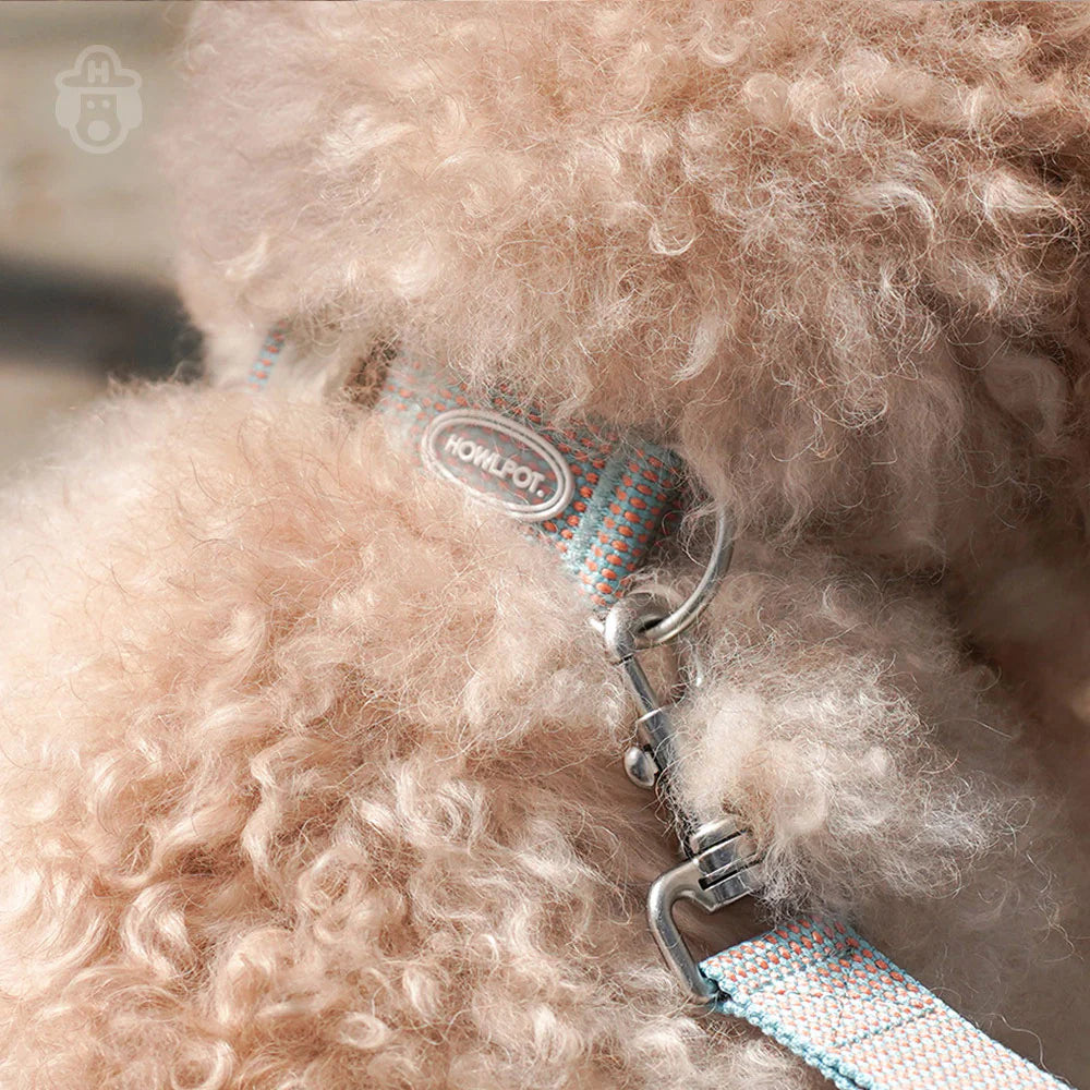 LARGE-CLUB COLLAR | Blue