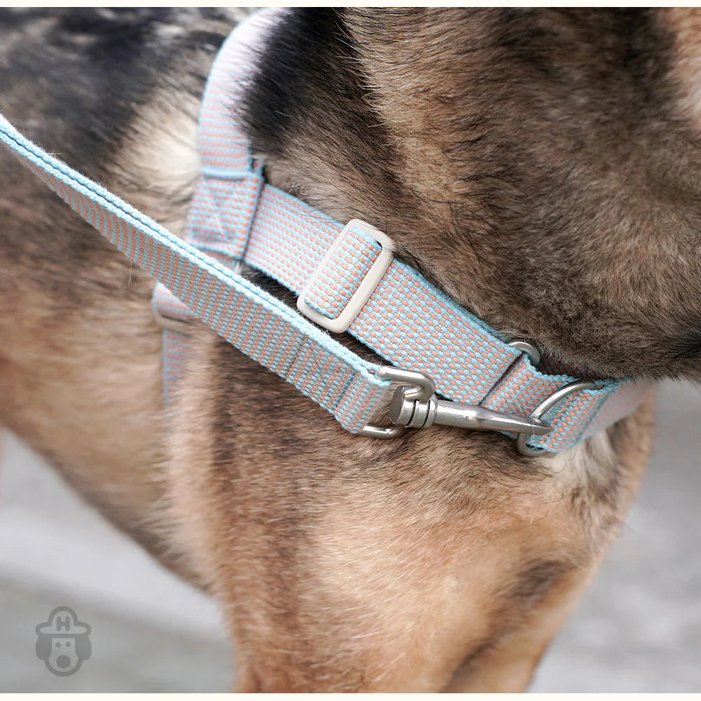 LARGE-CLUB HARNESS | Blue