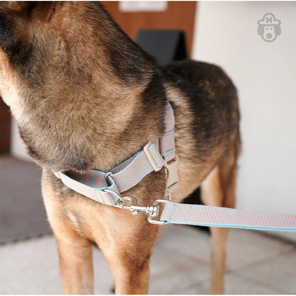 LARGE-CLUB LEASH | Blue