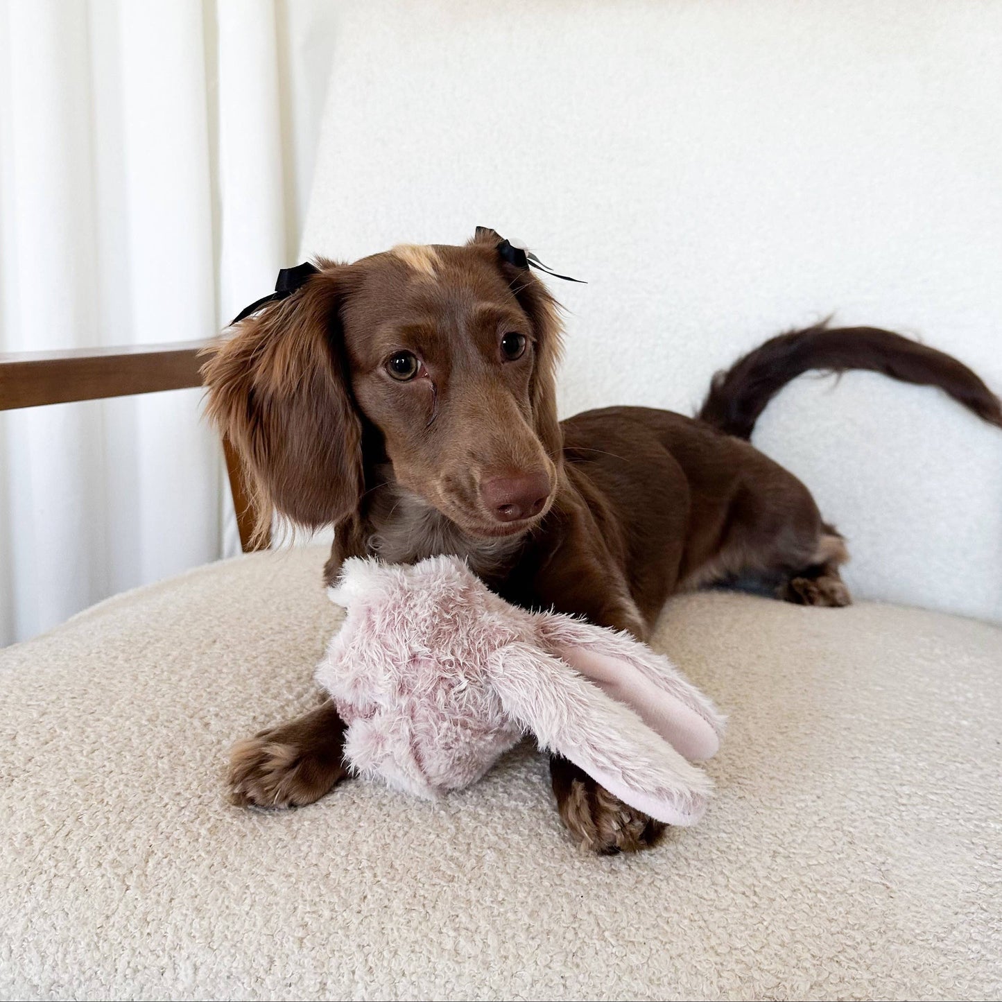 Lambwolf Collective - BUNNY POP