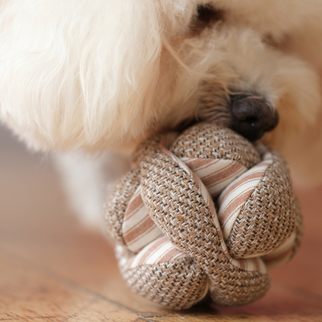 Lambwolf Collective - MINI MONTI