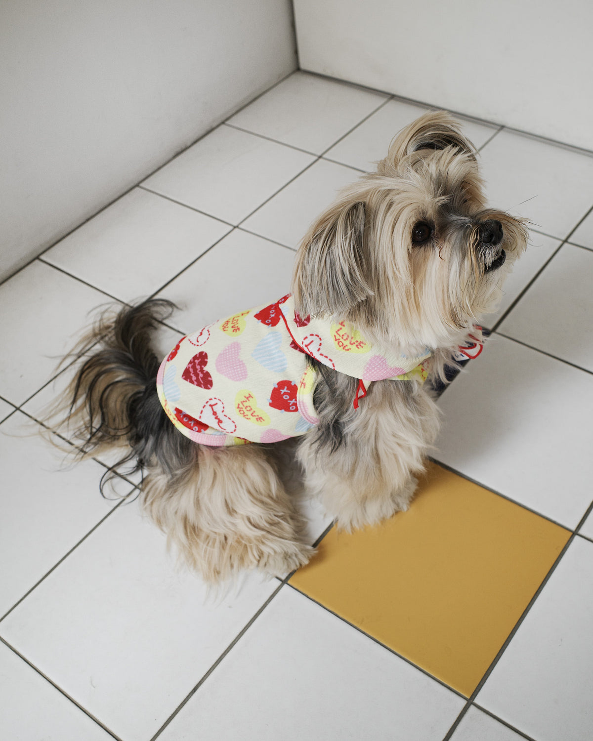 HEART PATCHWORK CROP TOP