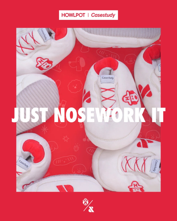 CASESTUDY SHOE BOX