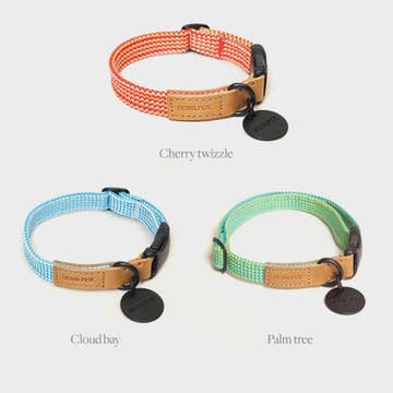 WE ARE TIGHT RIBBON COLLAR | Cloud Bay