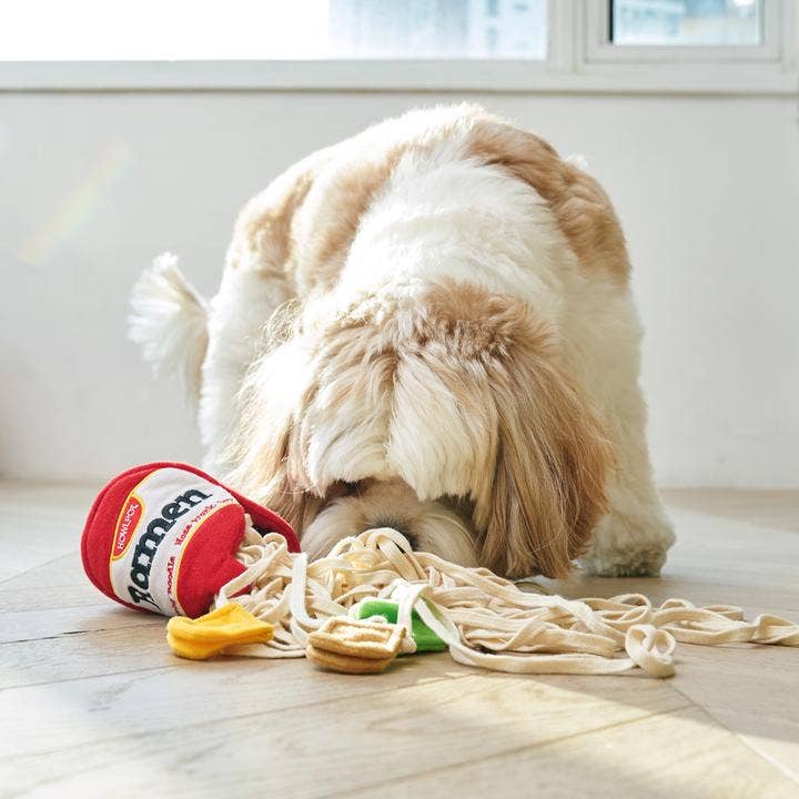 RAMON NOODLE
