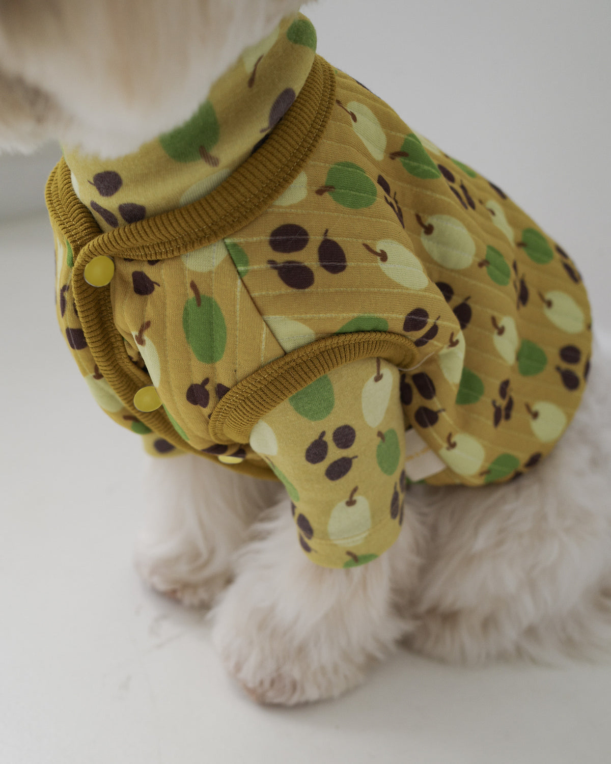 OLIVE CROP VEST | Olive