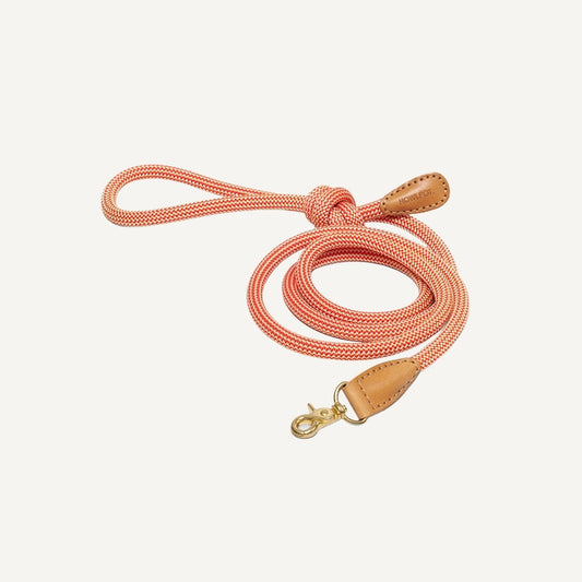 WE ARE TIGHT LEASH | Cherry Twizzle
