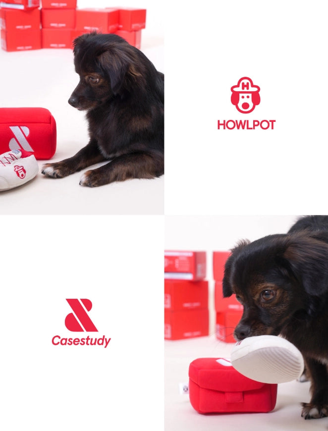 CASESTUDY SHOE BOX
