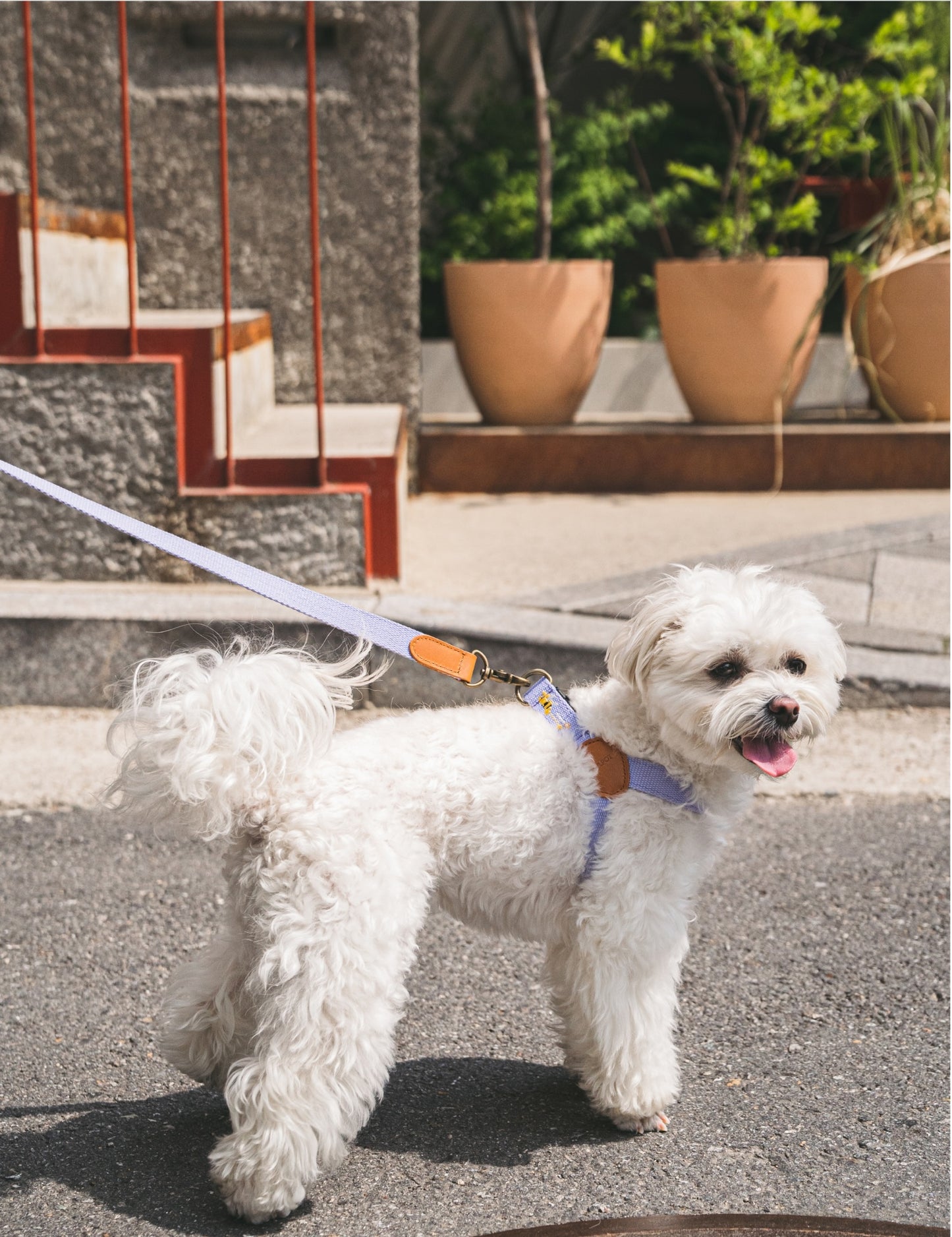 ADVENTURE HARNESS | Lilac