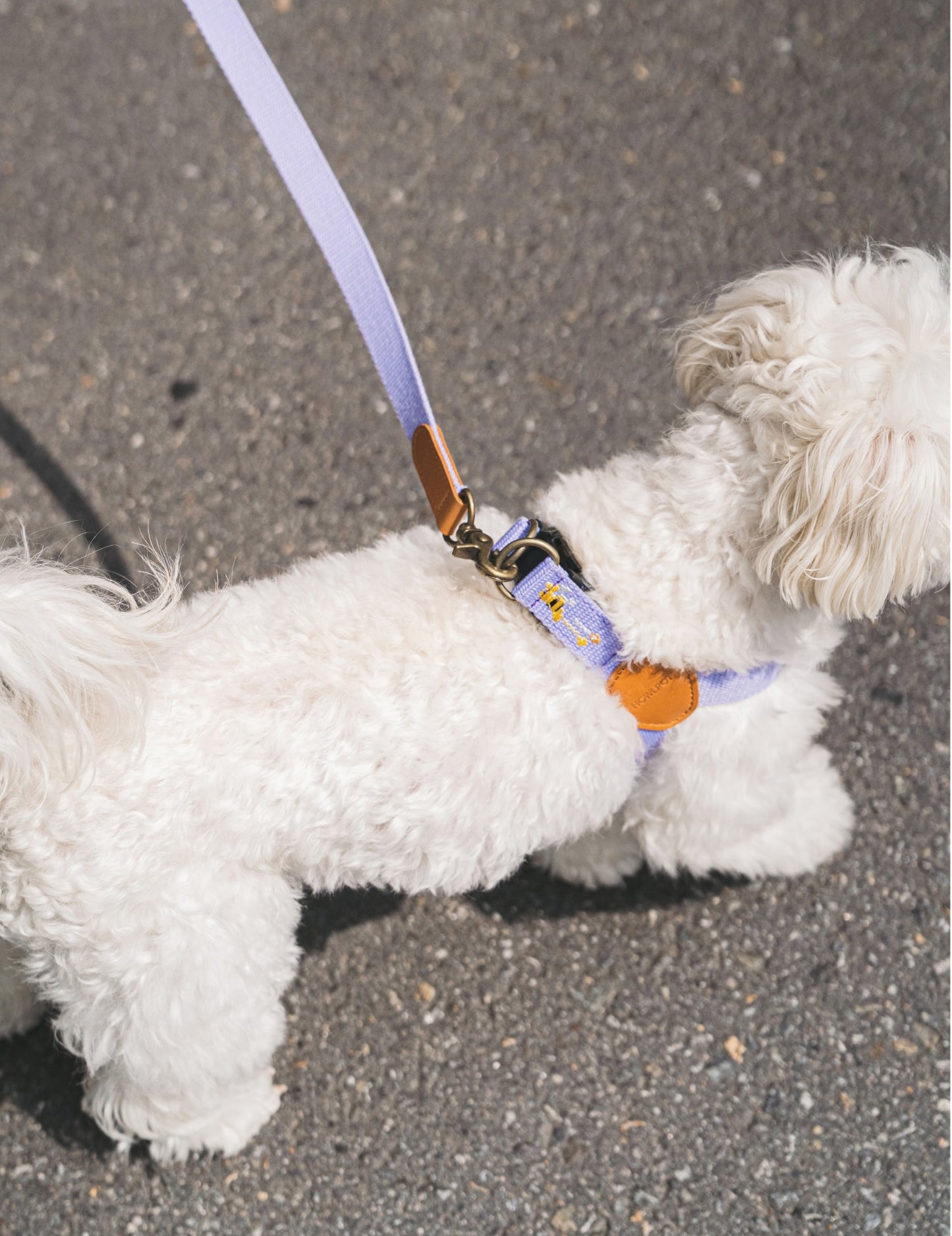 ADVENTURE HARNESS | Lilac