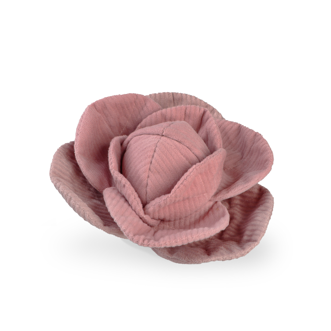 Lambwolf Collective - CABBAGE POP