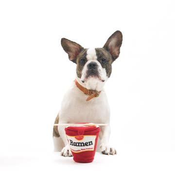RAMON NOODLE