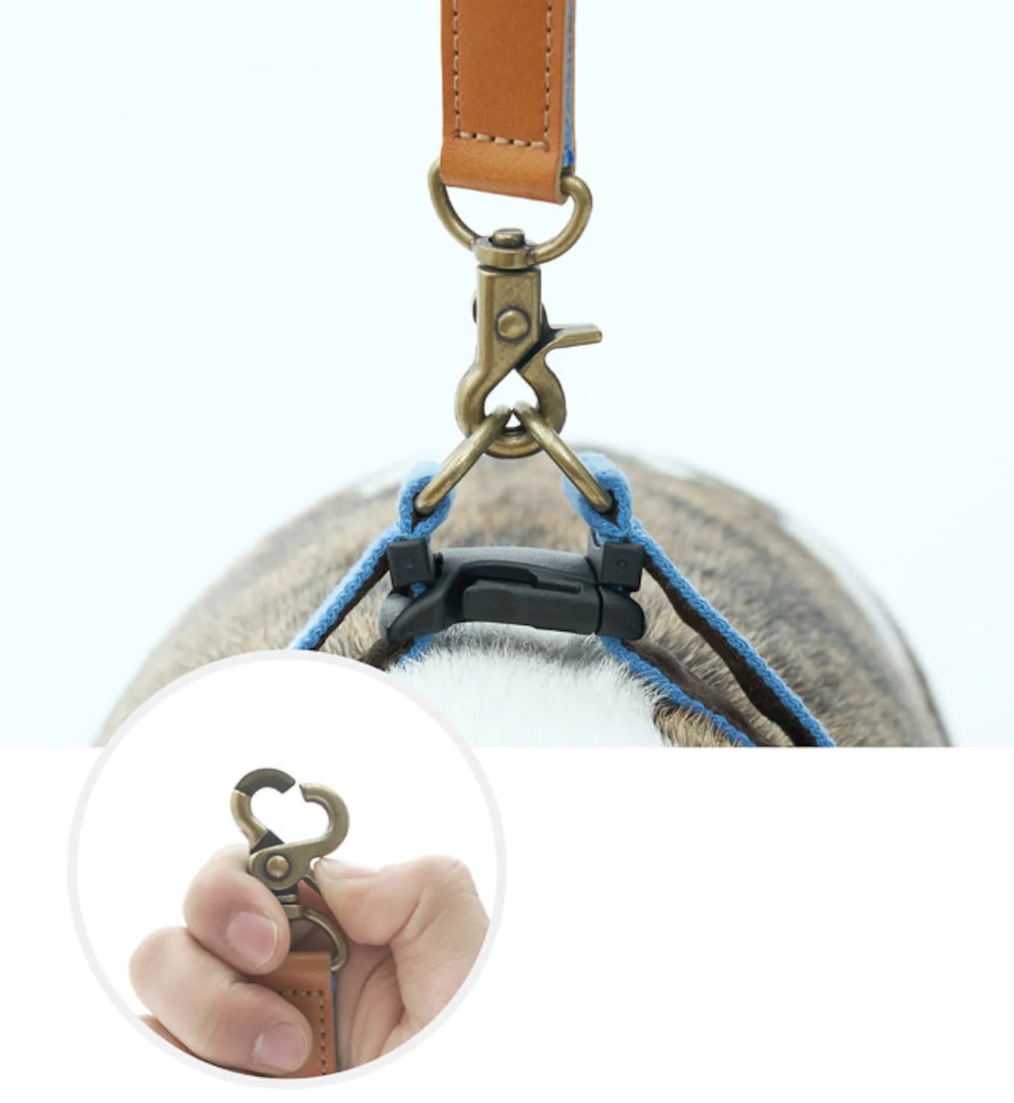 ADVENTURE HARNESS | Vacance