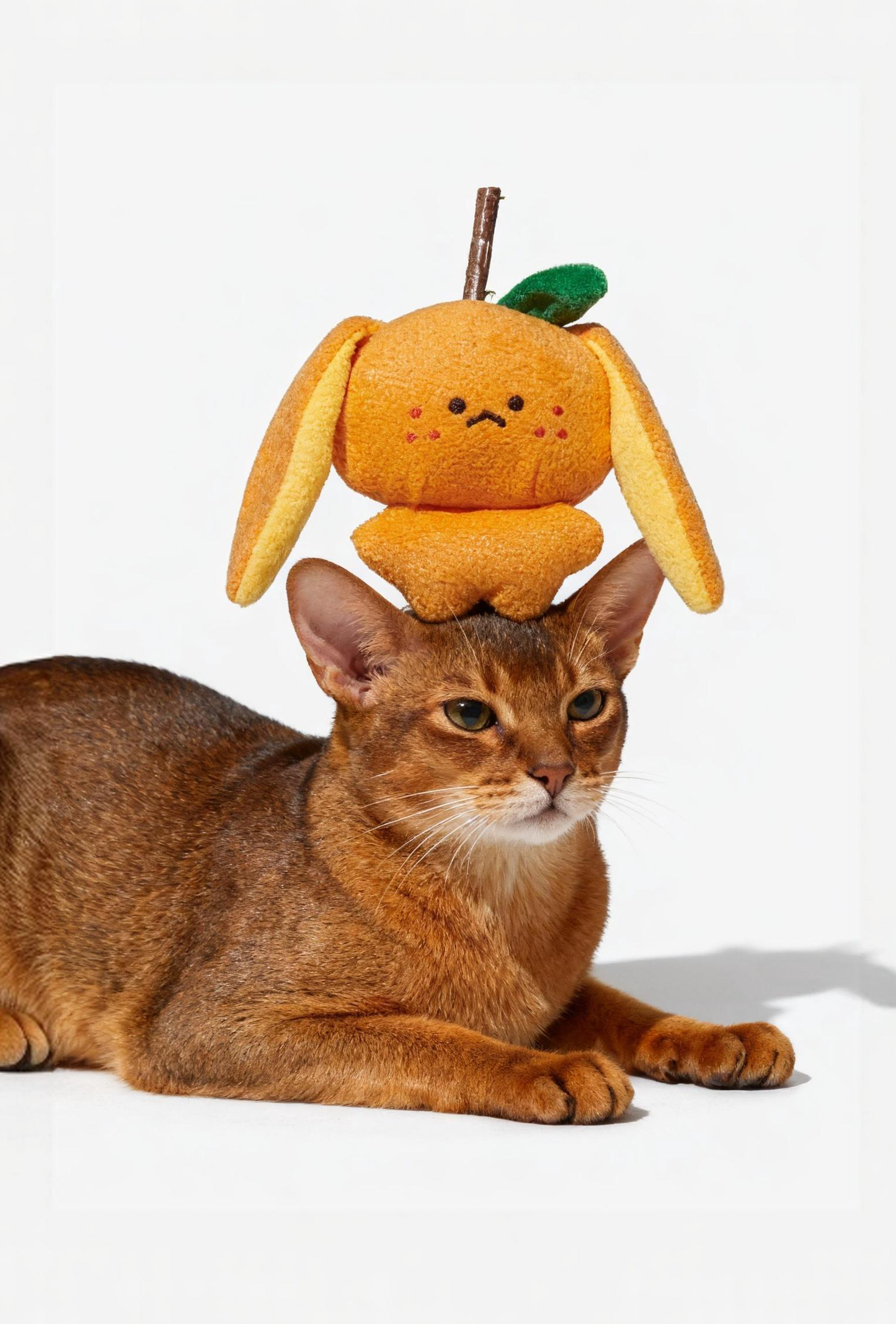 Pupsooh - ORANGE PUP CAT TOY