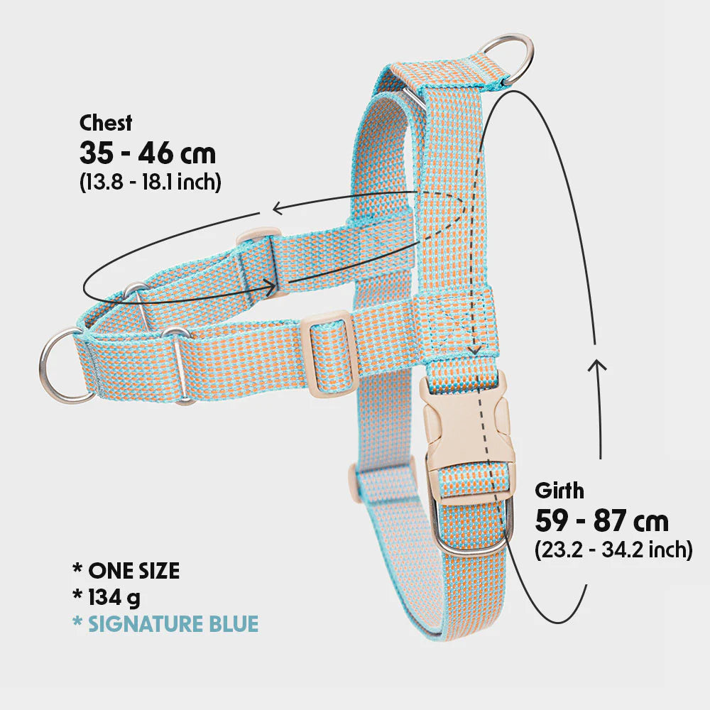 LARGE-CLUB HARNESS | Blue