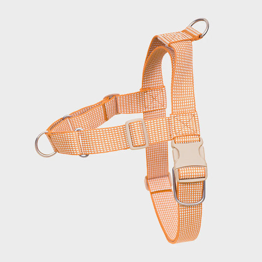 LARGE-CLUB HARNESS | Orange
