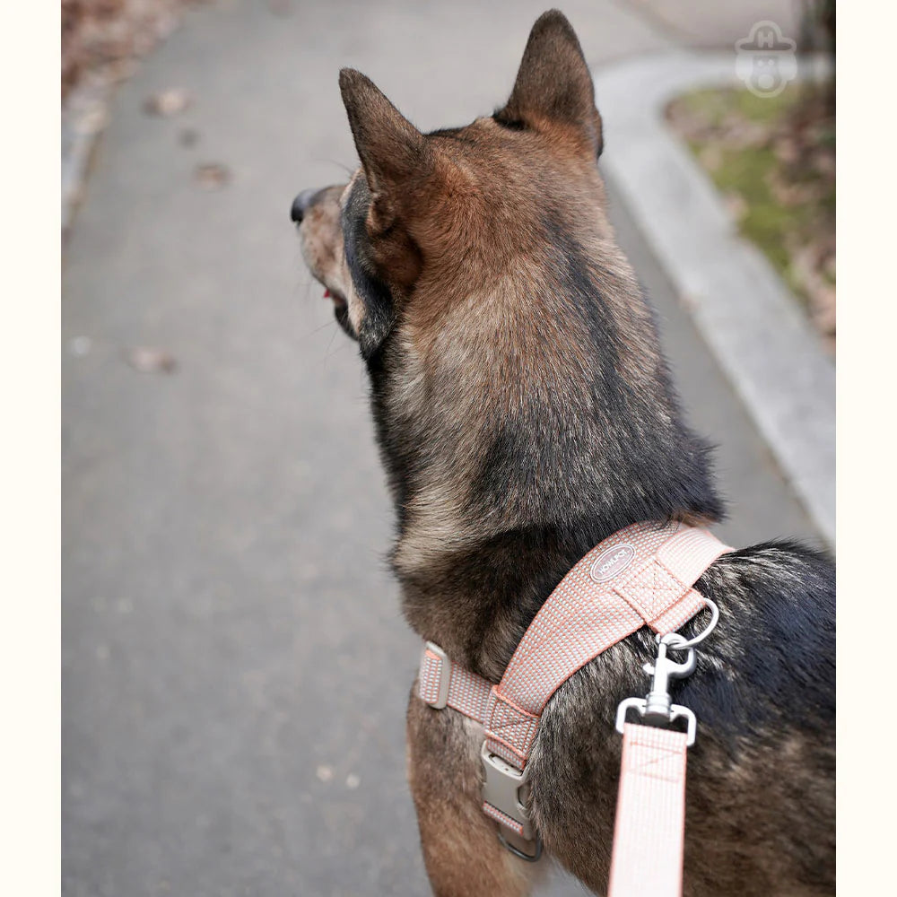 LARGE-CLUB HARNESS | Orange