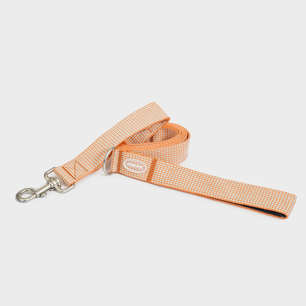 LARGE-CLUB LEASH | Orange